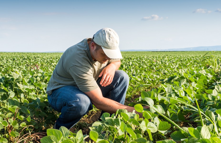 irrigation-a-farmer-is-checking-the-plants.jpg