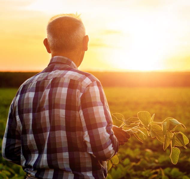 AGRICULTURE
