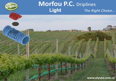 Morfou Light P.C.